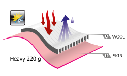220g